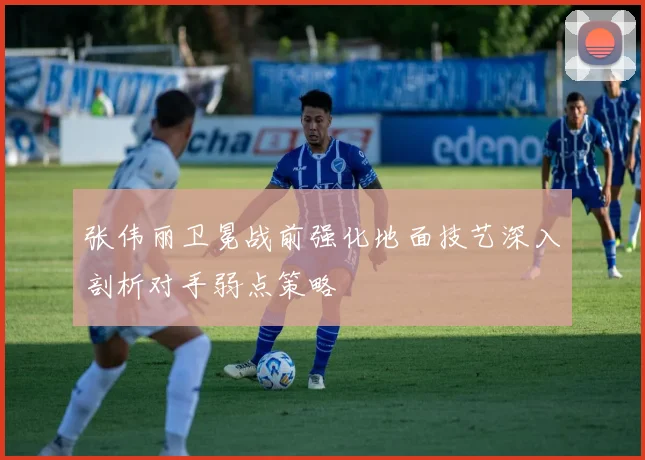 张伟丽卫冕战前强化地面技艺深入剖析对手弱点策略